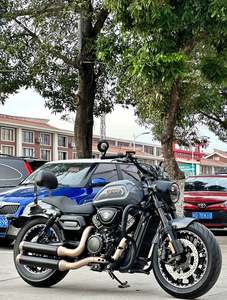 二手庄威V400