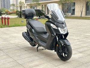 二手三阳Joymax Z 300