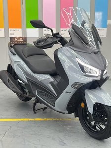 二手三阳Joymax Z 300