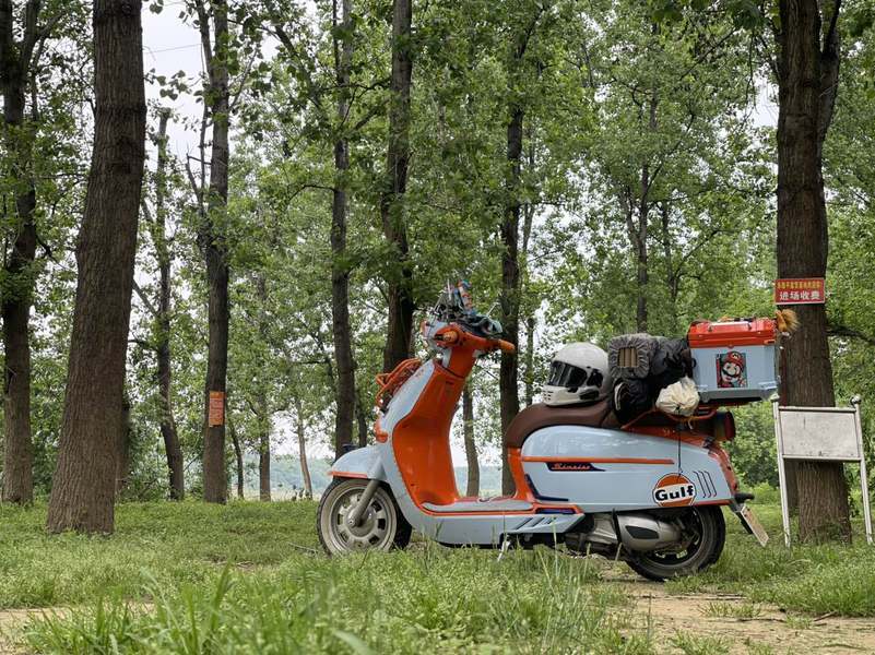 二手维多利亚Sixties 250Si