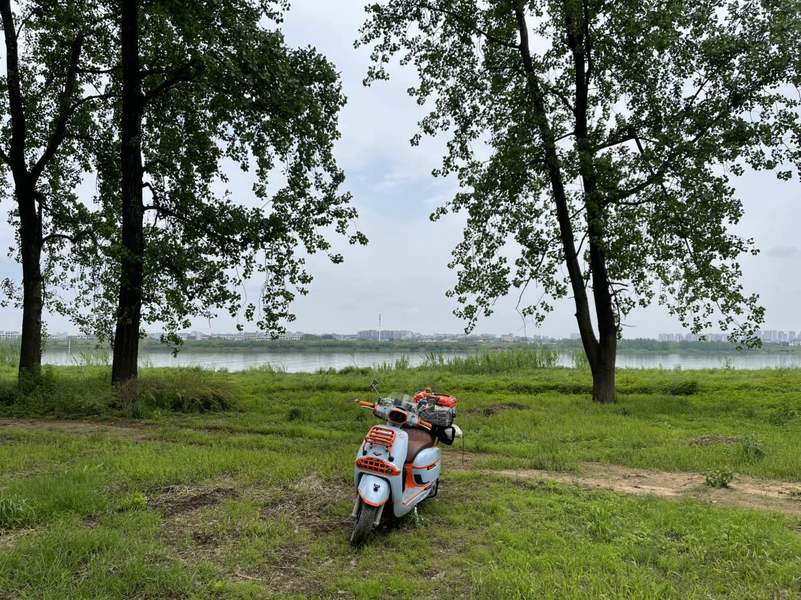 二手维多利亚Sixties 250Si