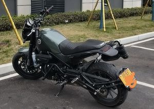 二手贝纳利幼狮 Leoncino 500