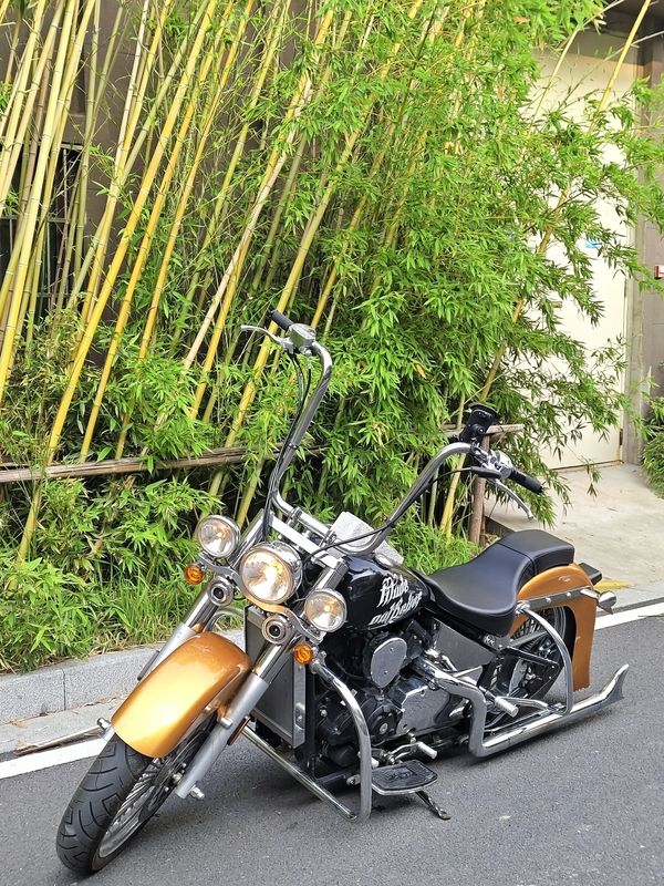 二手布沃克霸路特V600