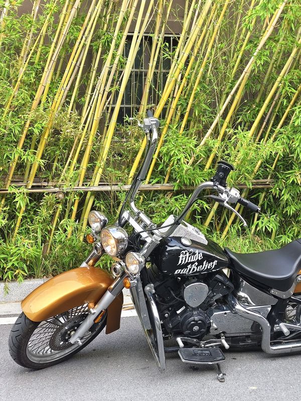二手布沃克霸路特V600