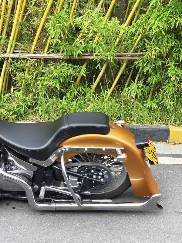 二手布沃克霸路特V600