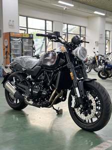 二手哈雷戴维森X 500