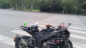 二手五本蛟龙 400