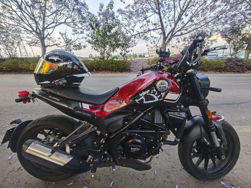 二手贝纳利幼狮 Leoncino 250