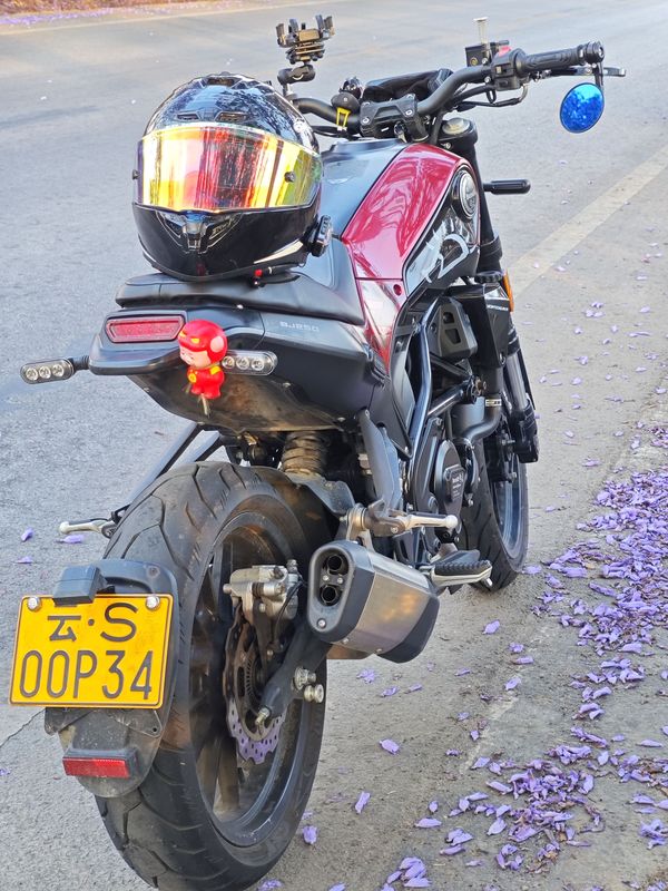 二手贝纳利幼狮 Leoncino 250