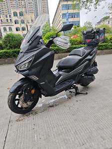 二手三阳Joymax Z 300