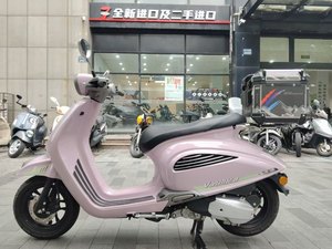 二手吉铭瓦西利卡 Vasilica 150i