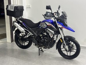 二手赛科龙RX1