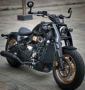 二手赛科龙RA600