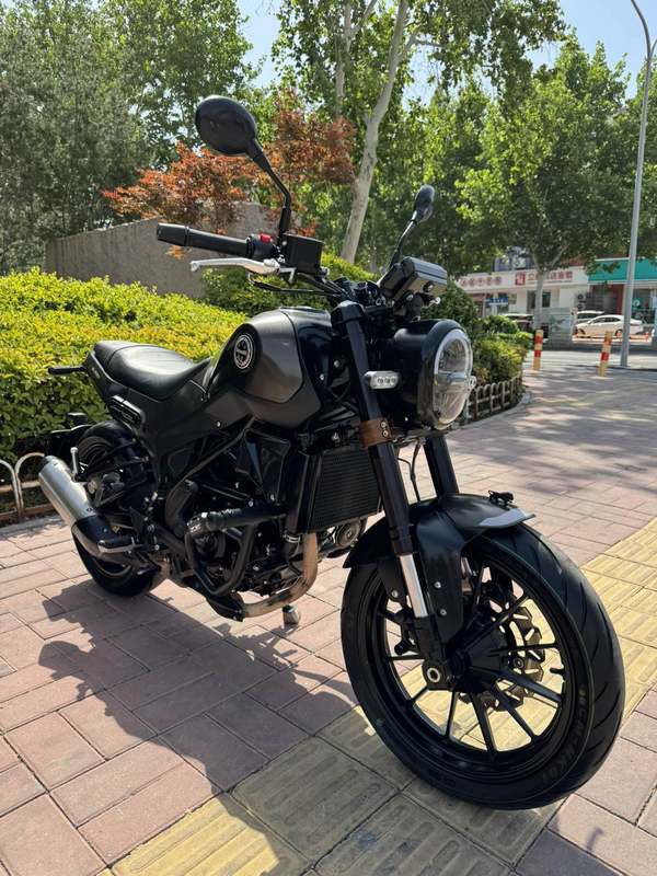 二手贝纳利幼狮 Leoncino 250