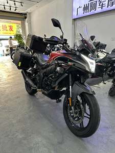 二手无极300DS