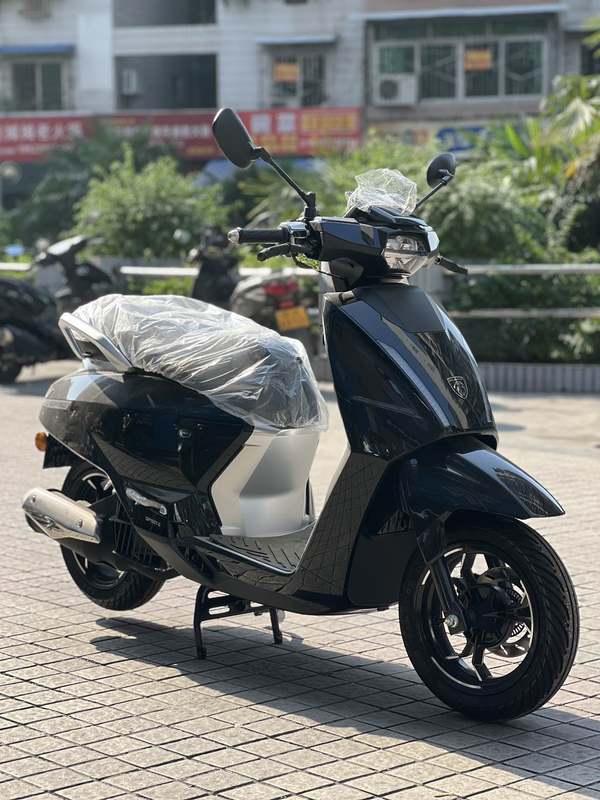 二手标致DJANGO EVO