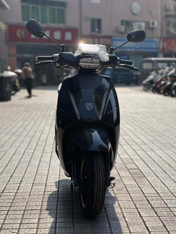 二手标致DJANGO EVO