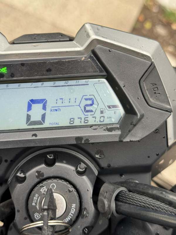 二手春风ST狒狒