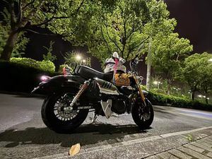 二手银钢蜜獾