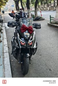 二手赛科龙RT1