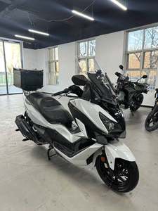 二手三阳巡弋 Cruisym300