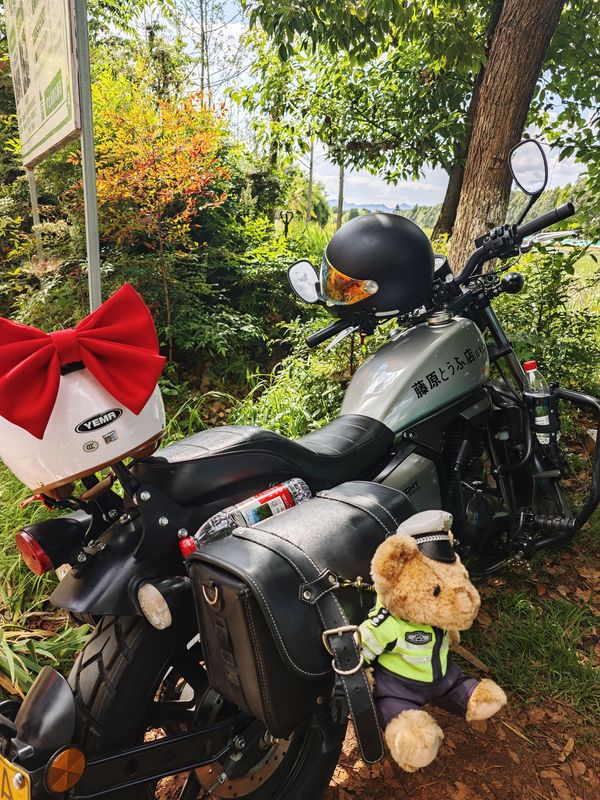 二手钱江凯威荣光 202