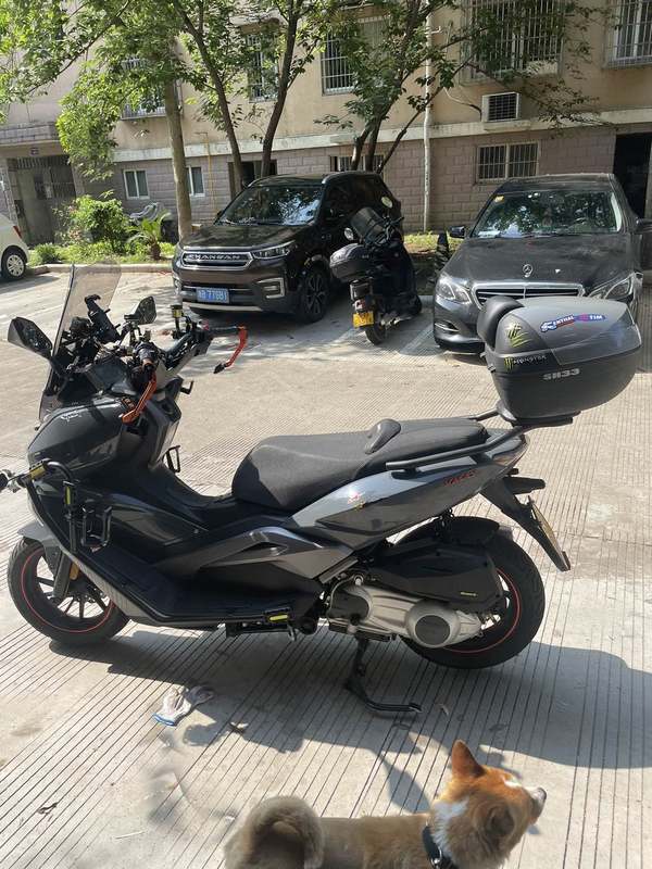 二手龙嘉VMAX ie300