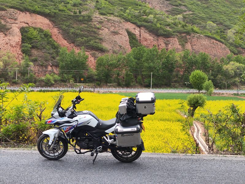 二手贝纳利金鹏 TRK251