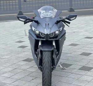 二手诺马刀风 300