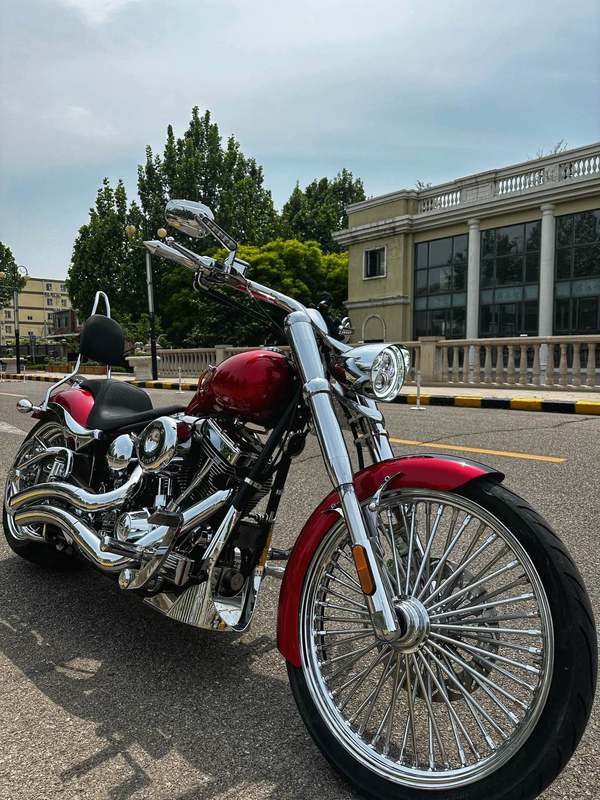 二手松散American FatTire