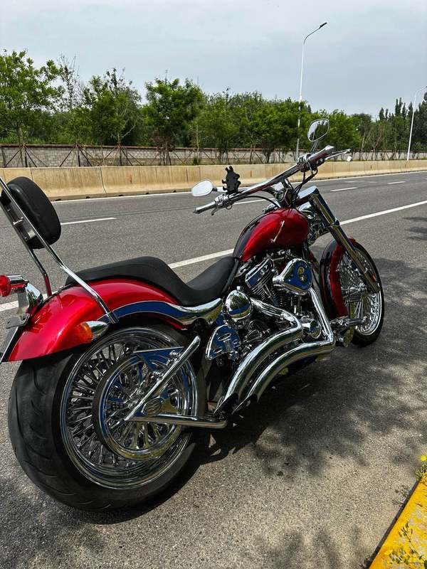 二手松散American FatTire