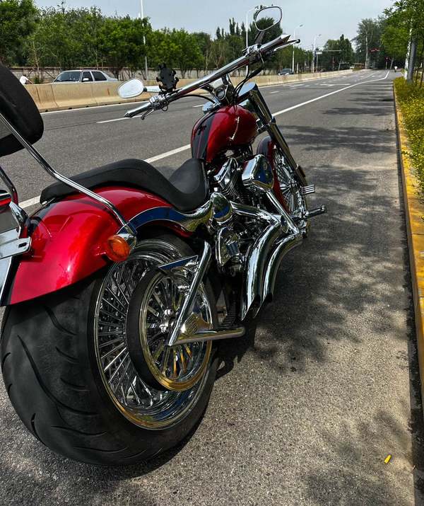 二手松散American FatTire