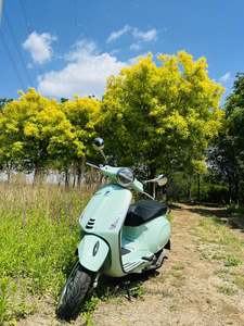 二手VESPAPrimavera 150