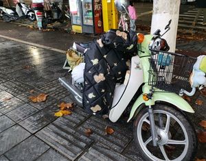 二手洛嘉后浪