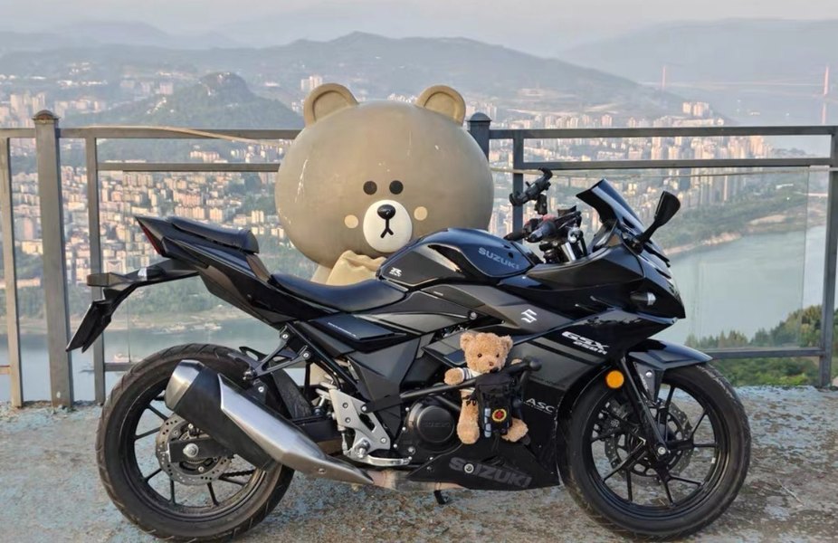 二手豪爵铃木GSX250R