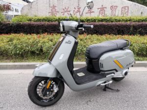 二手ROYAL ALLOYGT150