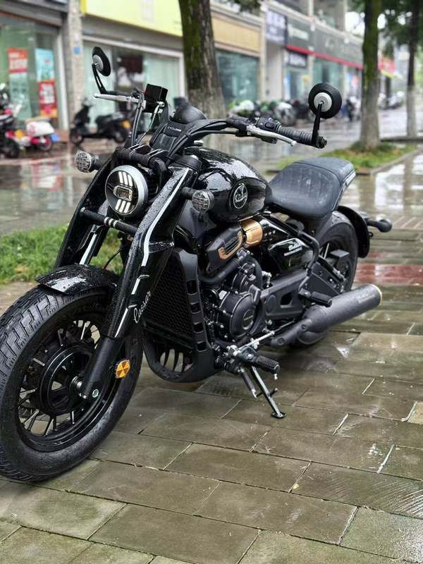 二手赛科龙RA600
