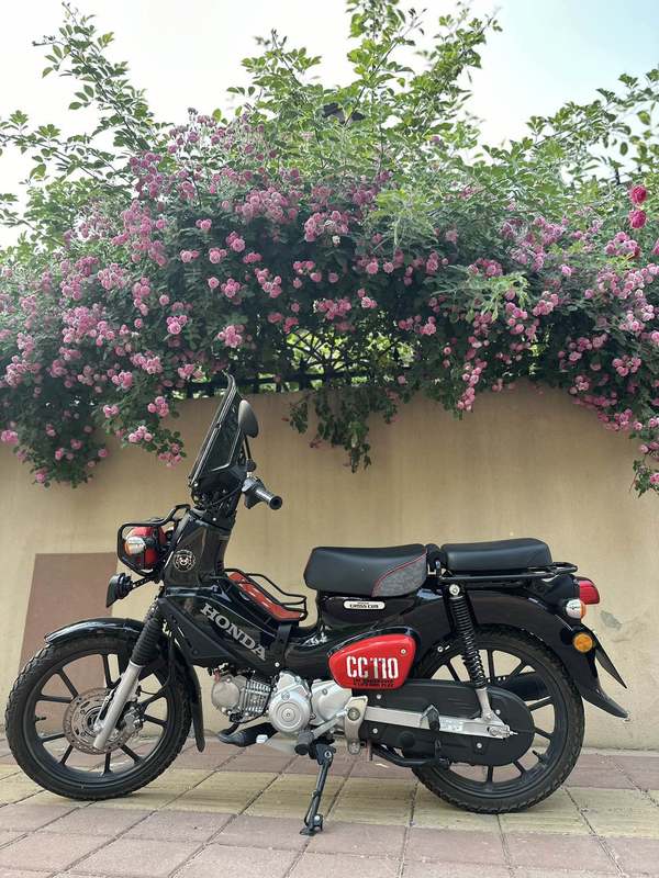 二手新大洲本田Cross Cub