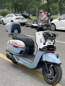 二手维多利亚Sixties 250Si