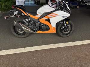二手金城枭250
