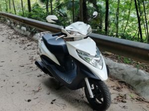 二手新大洲本田NS125T