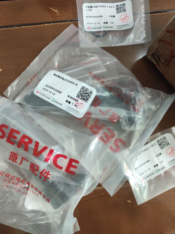 二手贝纳利幼狮 Leoncino 500