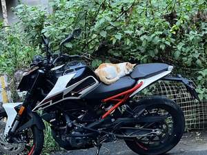 二手KTMR2R250 Duke