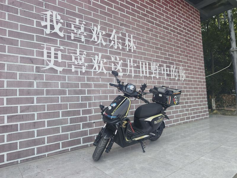 二手九号远航家M
