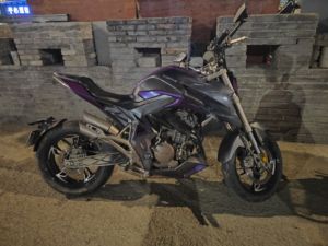 二手升仕310R