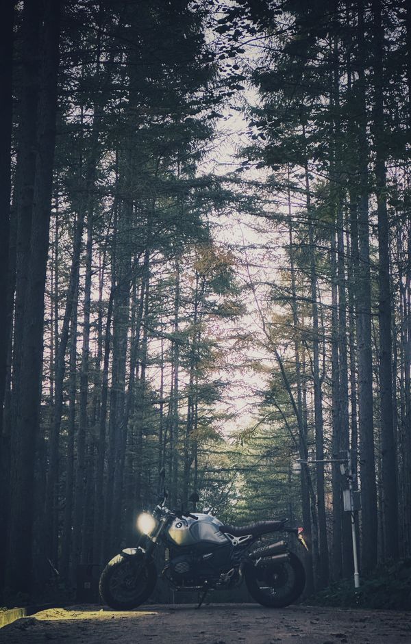 二手宝马R NineT