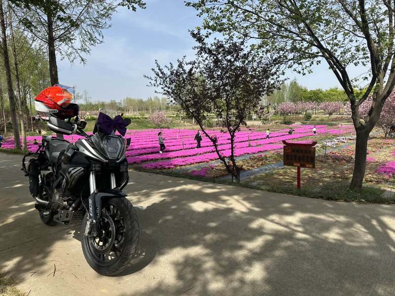 二手QJMOTOR骁600