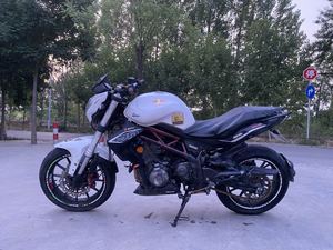 二手贝纳利蓝宝龙 BN302S