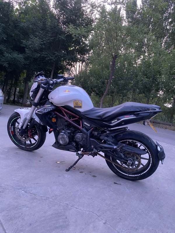 二手贝纳利蓝宝龙 BN302S