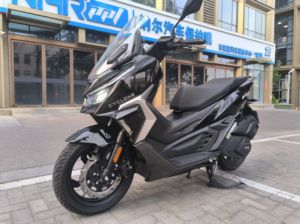 二手赛科龙RT1